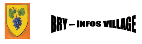 Bry info village logo