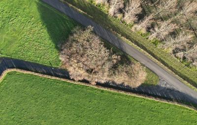 DJI_0548