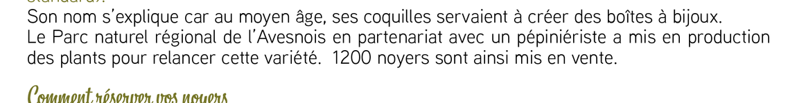 BON COMMANDE NOYER BIJOU