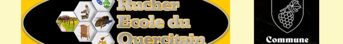 frelon asiatique reunion 27 mars